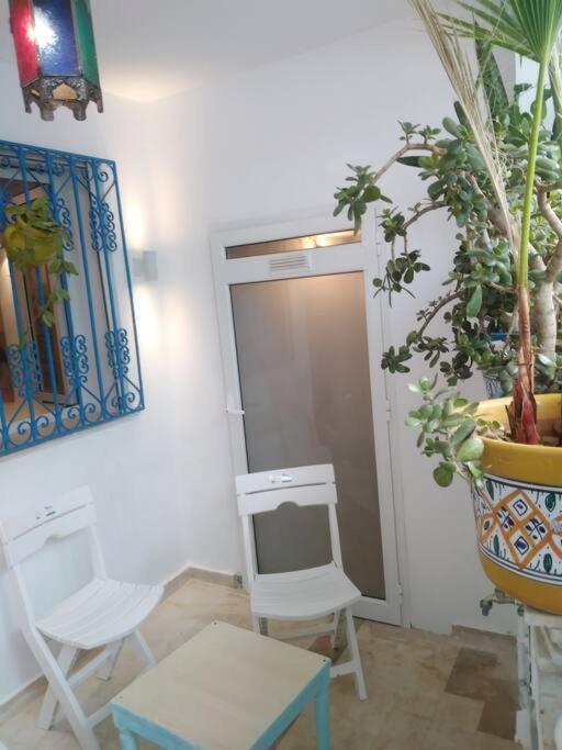 Cosy Appartement In "Sidi Bou Said" Eksteriør billede