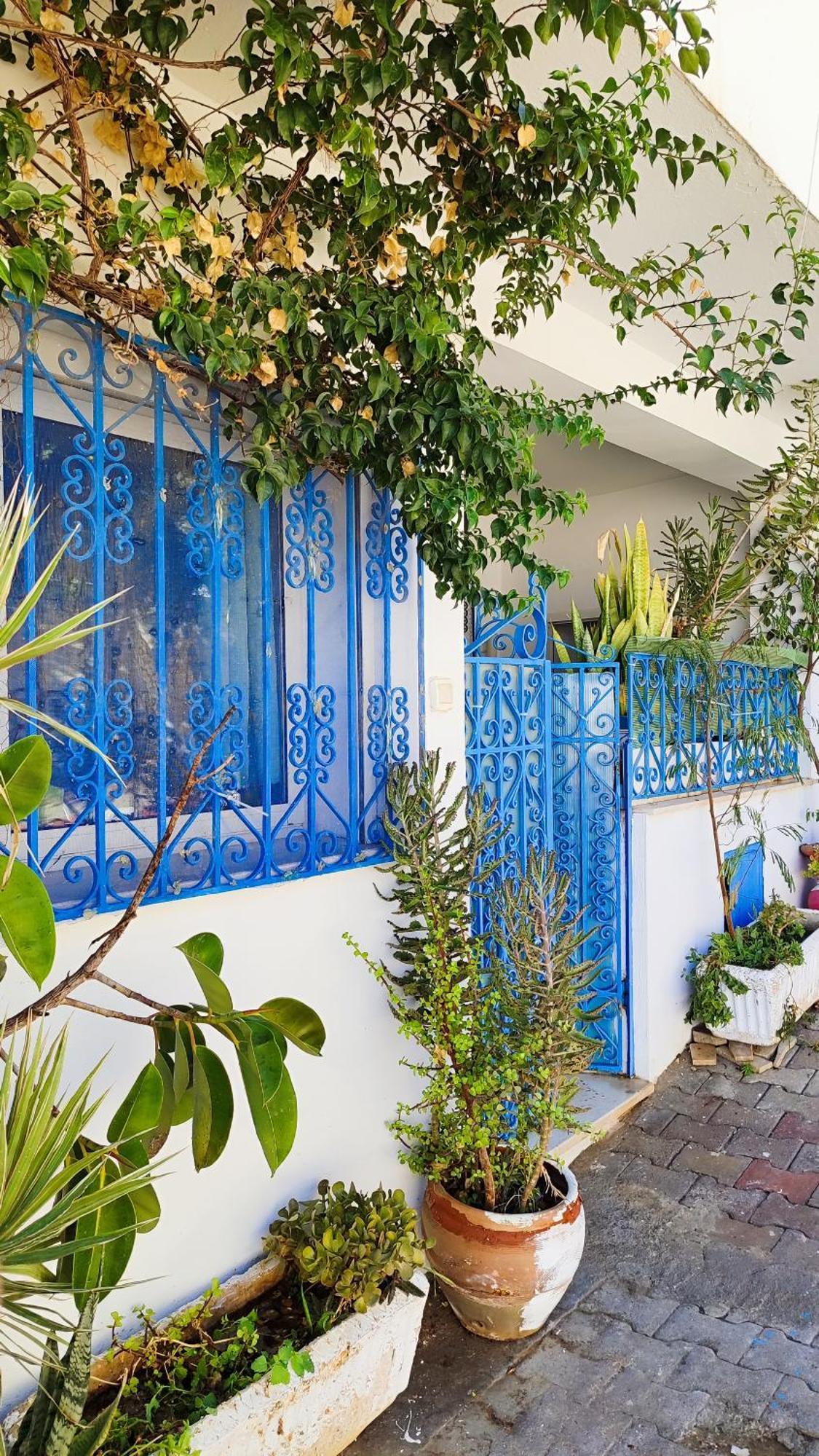 Cosy Appartement In "Sidi Bou Said" Eksteriør billede